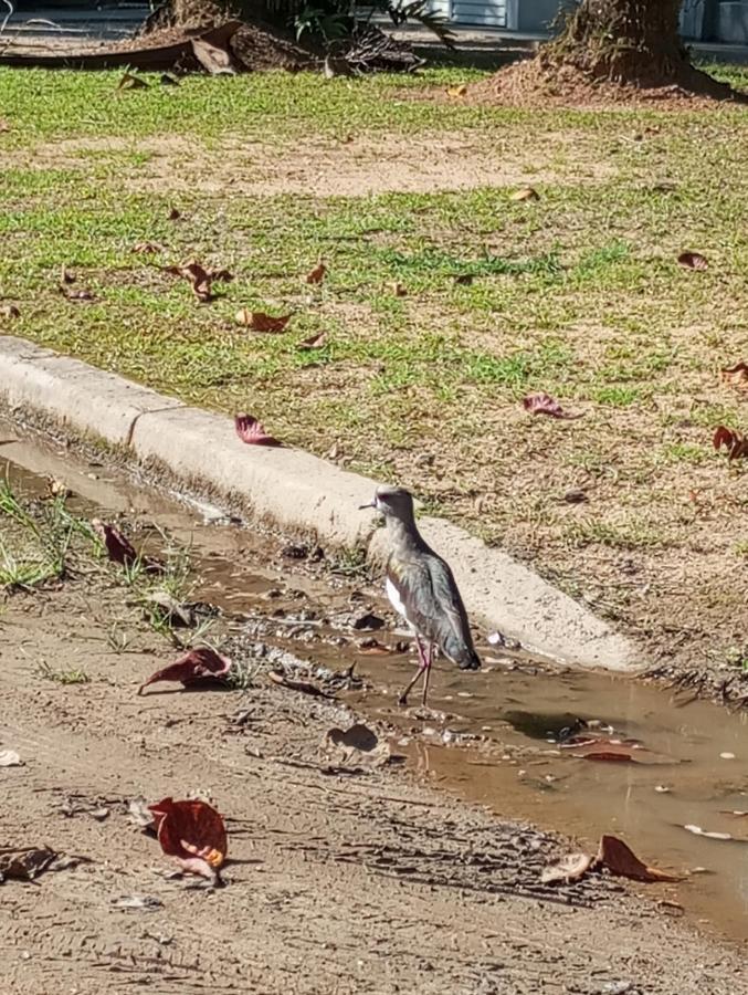 Pousada 5 Cachoeiras Убатуба Экстерьер фото