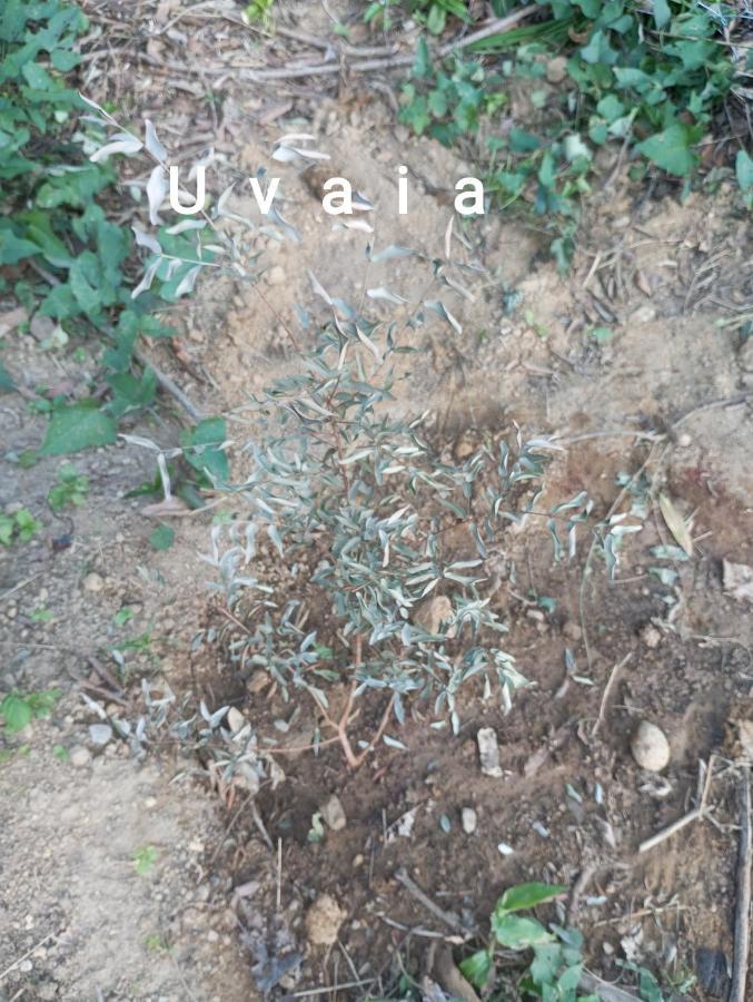 Pousada 5 Cachoeiras Убатуба Экстерьер фото