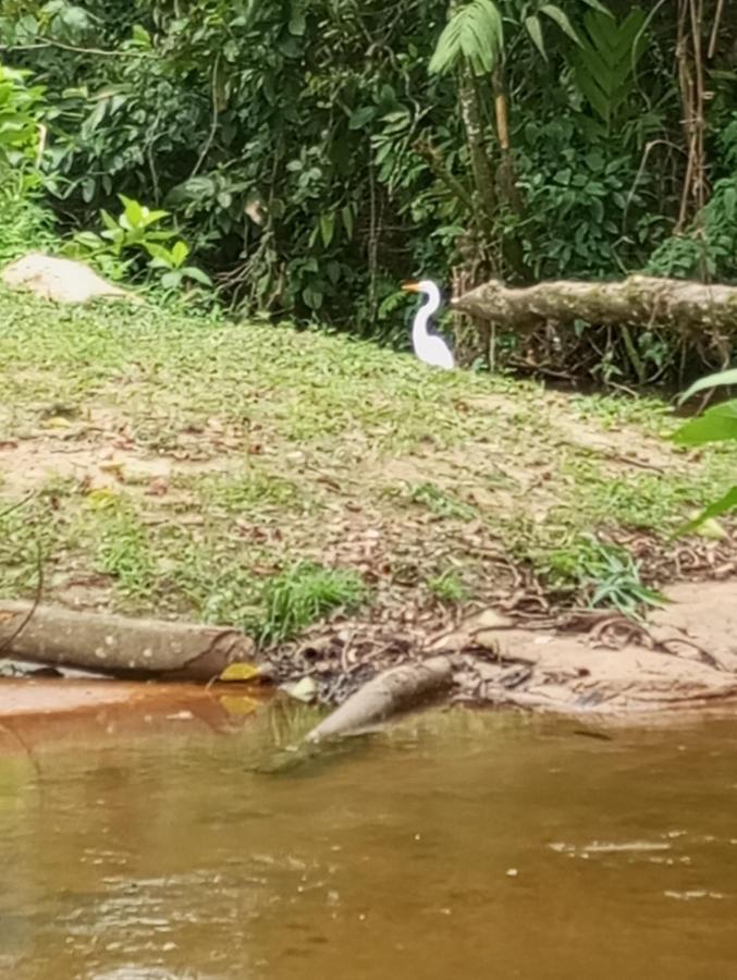 Pousada 5 Cachoeiras Убатуба Экстерьер фото